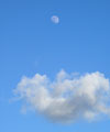 Gibbous Moon in blue and grey