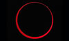 L'éclipse annulaire du 3 octobre
