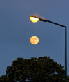 The Full Moon spawned by a street-lamp